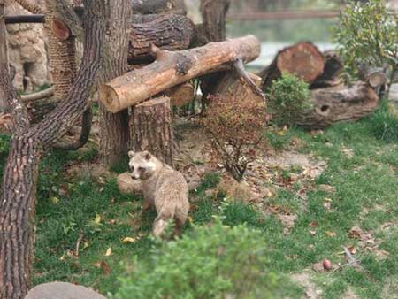 一丘之貉下一句是什么