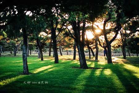 聚散終有時下一句