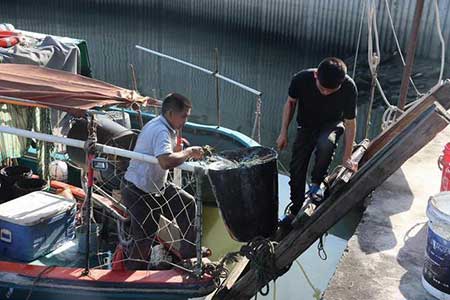 遍地撒網的下一句是啥