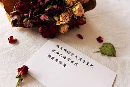 早已過了耳聽愛情的年紀下一句