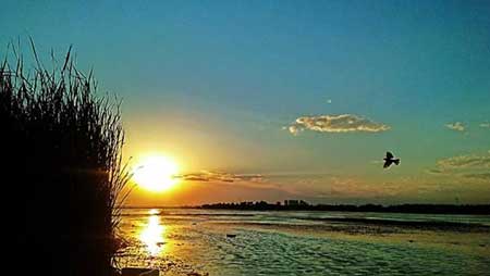 落霞與孤鶩齊飛的下一句是什么