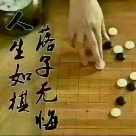 落子無悔下一句