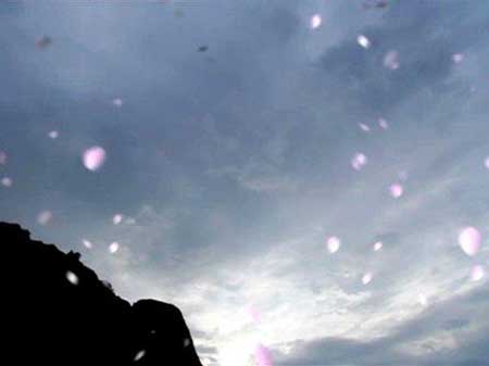 無語問蒼天下一句