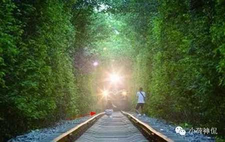 生命誠可貴下一句