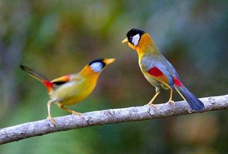 相輔相成下一句