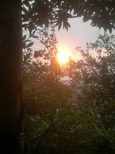 人生無處不風景下一句