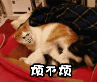 滾犢子下一句怎么接