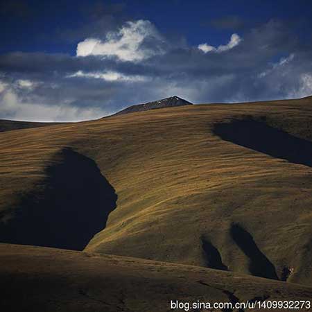 黃沙百戰穿金甲下一句是什么