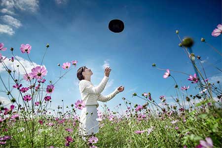 與世無爭下一句是啥