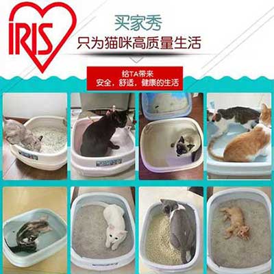 屎盆子鑲金邊下一句