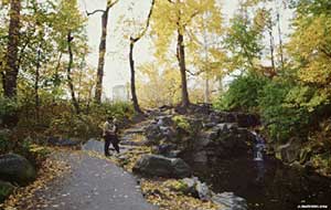 歲月如梭下一句是什么