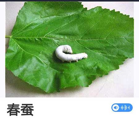 寒來暑往下一句是什么