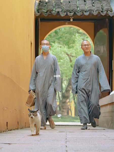 師傅領(lǐng)進(jìn)門(mén)的下一句