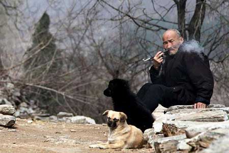 當(dāng)家才知柴米貴的下一句