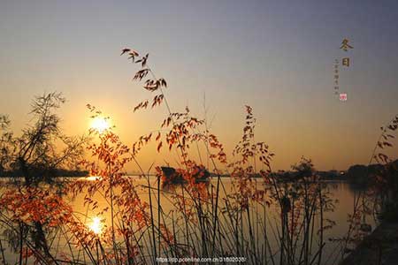 冬日暖陽下一句