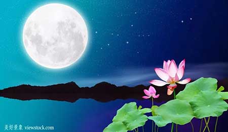 但愿人長久下一句