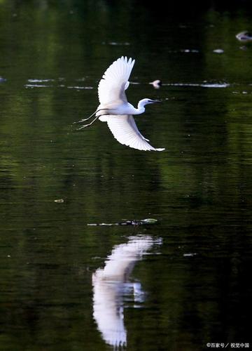 晴空一鶴排云上下一句