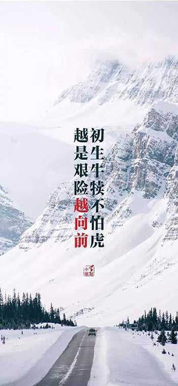 初生牛犢不怕虎下一句